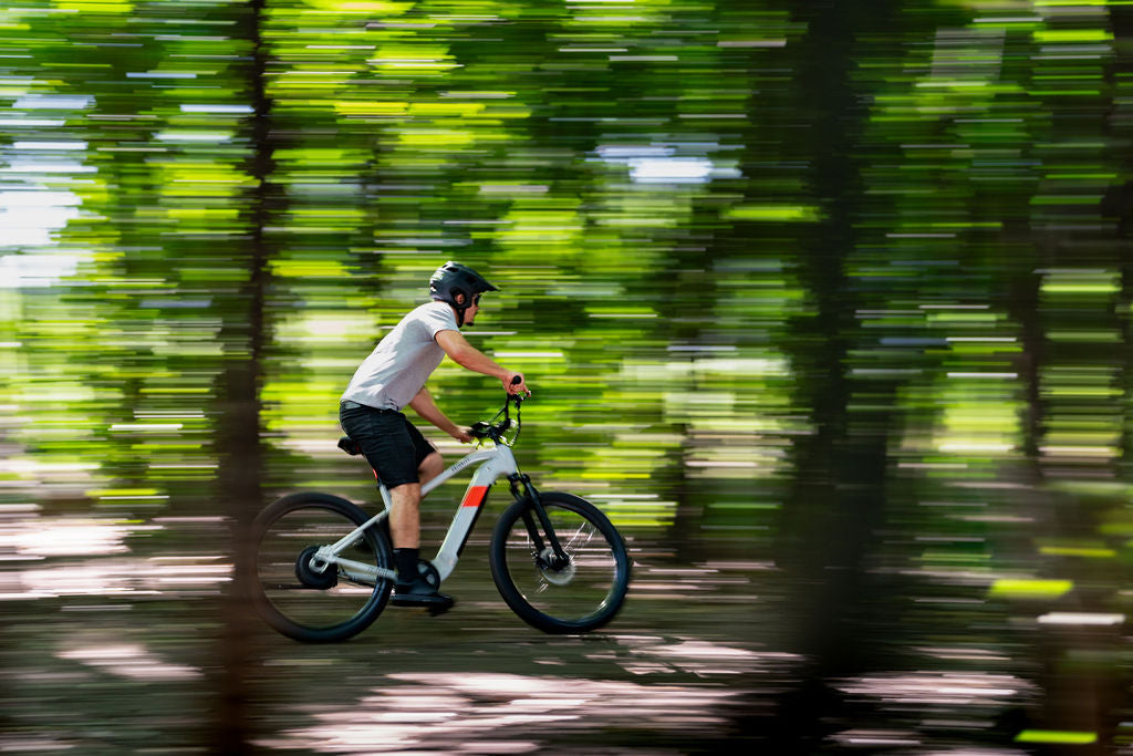 Priority E-Sauce E-Bike
