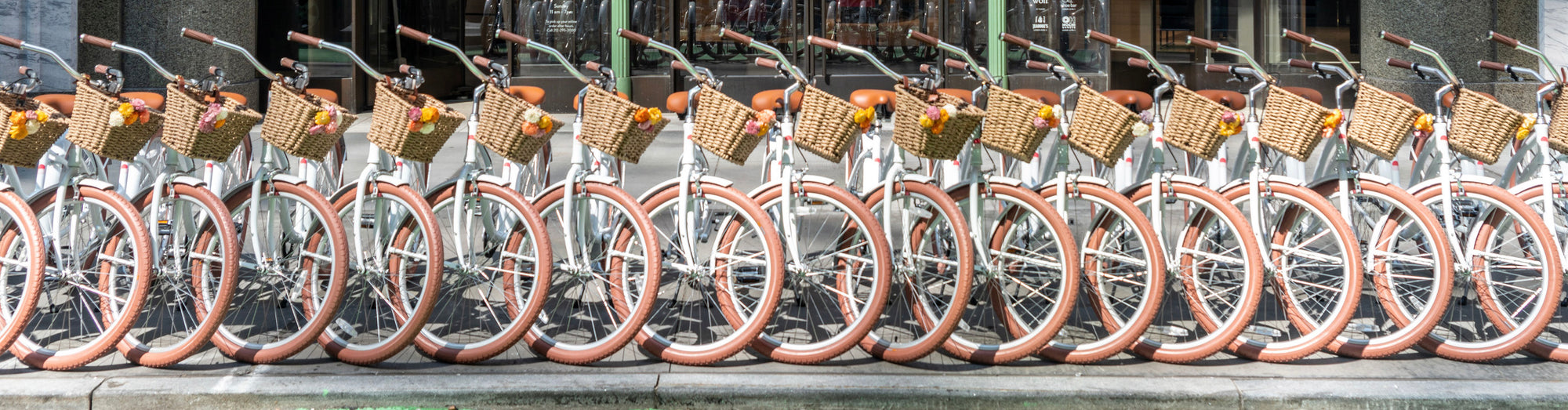 belt drive system bike